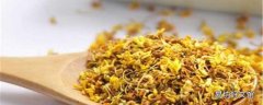 桂花如何曬干保持香味 桂花沒有香味還有用嗎