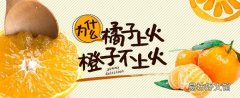 為什么橘子上火橙子不上火 橙子和橘子的區別在哪里