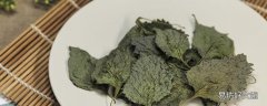 紫苏不能和什么一起吃 紫苏什么人不能吃
