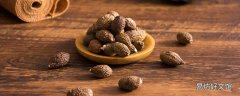 胖大海為什么會膨脹 胖大海可以泡一天嗎