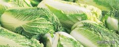 白菜是發物嗎 痛風可以吃白菜嗎