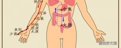 敲打肺经的最佳时间是几点 清肺经是左手还是右手