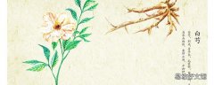 白芍可以燉湯嗎 白芍燉湯小孩可以多吃嗎