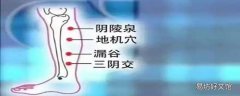 陰陵泉的精確位置 陰陵泉與豐隆哪個祛濕好