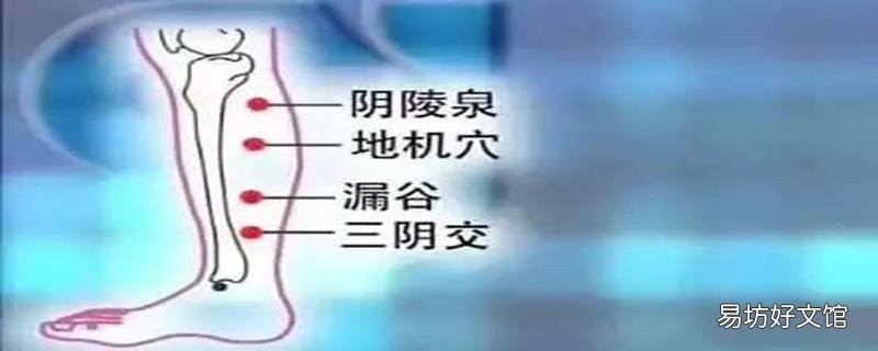 陰陵泉的精確位置 陰陵泉與豐隆哪個祛濕好