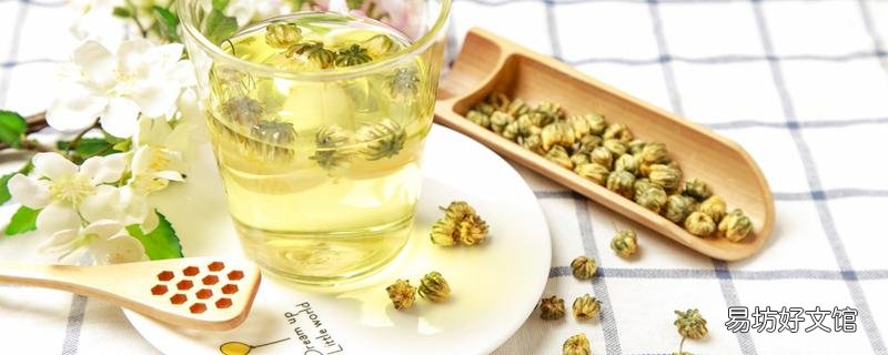 菊花茶泡多久就不能喝了 菊花茶哪種菊花最好