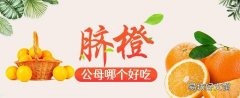 脐橙公母哪个好吃 脐橙肚脐大还是肚脐小好