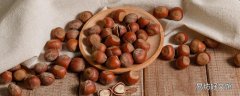 榛子适合老人吃吗 榛子一天吃多少为宜