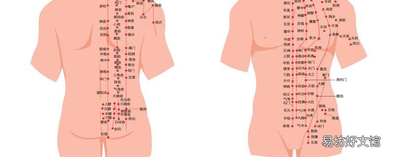 什么時候敲打肺經比較好 敲打肺經是從上往下還是從下往上