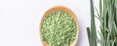大麦青汁一天吃几次 大麦青汁过期了能喝吗