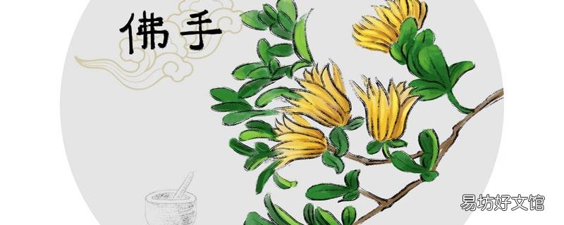 佛手瓜不能多吃吗 7个多月的宝宝可以吃佛手瓜吗