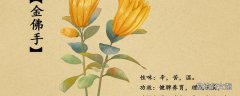 手碰到佛手瓜粘液了怎么办 佛手瓜的粘液对人体有害吗