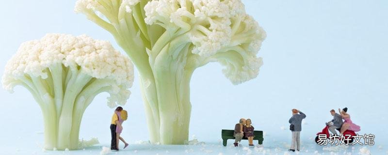 菜花烂了还能吃吗 菜花为啥要用开水棹