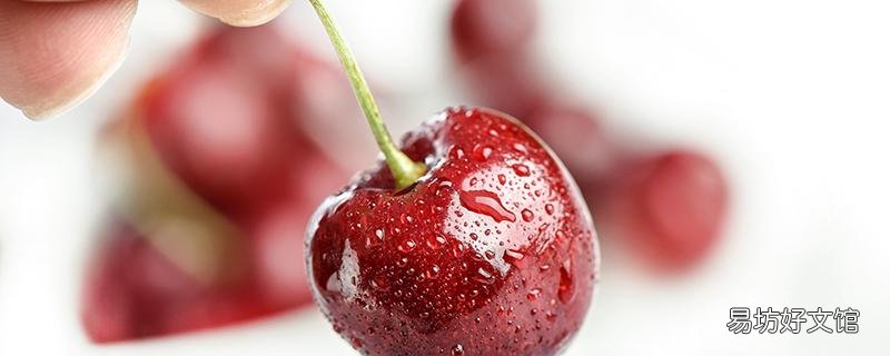 車?yán)遄硬荒芎褪裁词澄镆黄鸪?頭孢和車?yán)遄涌梢砸黄鸪詥?
onload=