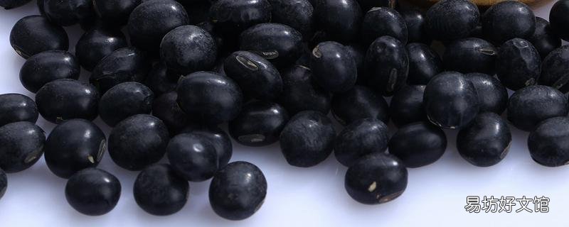 黑豆绿心的好还是黄心的好 黑豆可以打豆浆吗
