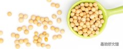 黄豆用开水泡30分钟可以吗 黄豆来不及泡怎么办