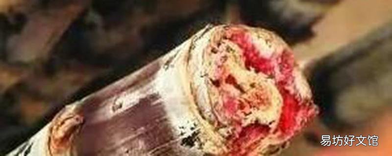 甘蔗变红了能吃吗 甘蔗有一点红丝能吃吗