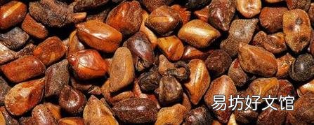 决明子水可以隔夜吗 决明子用开水还是温水泡