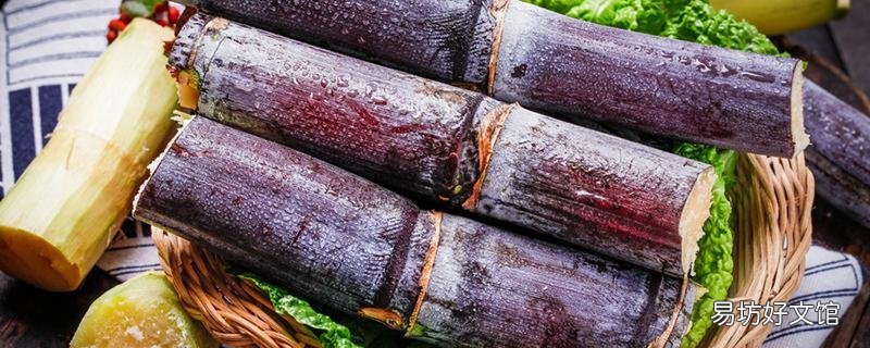 甘蔗一次最多吃多少 一天吃一根甘蔗會(huì)胖嗎