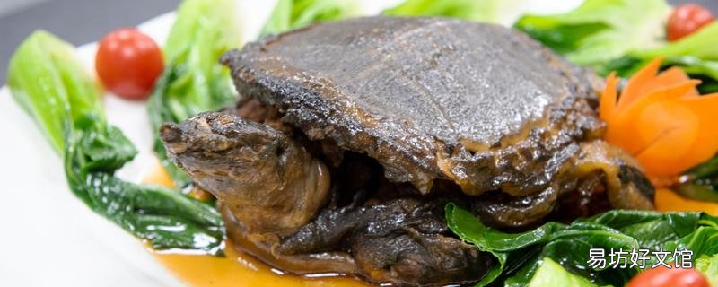 甲魚(yú)殺死幾個(gè)小時(shí)有毒 怎么判斷甲魚(yú)死了多久
