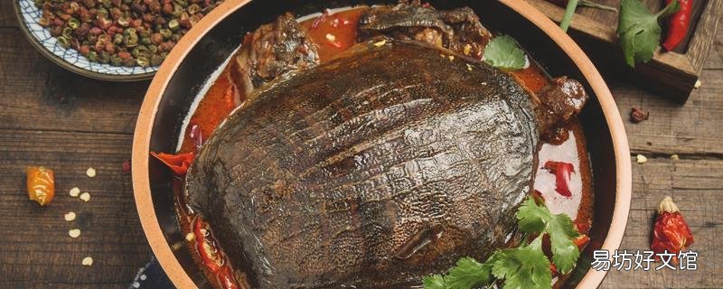 甲魚湯怎么燉滋補效果好 甲魚湯怎么燉補腎效果好