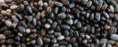 奇亚籽胃不好的人可以吃吗 奇亚籽通便效果真的好吗