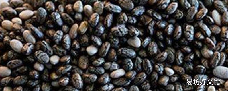 奇亞籽胃不好的人可以吃嗎 奇亞籽通便效果真的好嗎