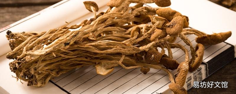 茶树菇怎么泡才会软 茶树菇用什么水泡发