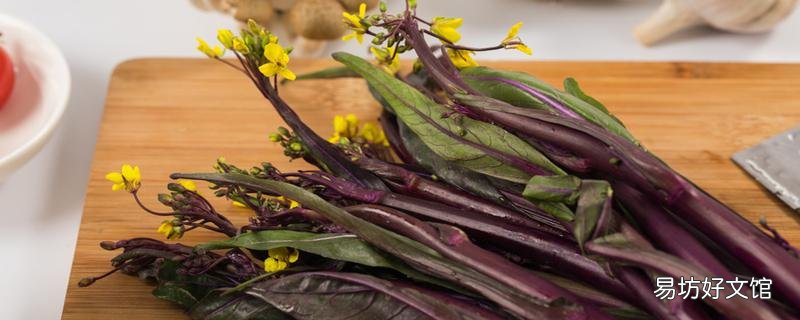 红菜苔补血吗 来姨妈可以吃红菜苔吗