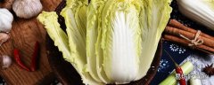 白菜和娃娃菜是一种菜吗 白菜和娃娃菜哪个营养价值高
