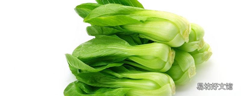 小白菜能生吃吗 小白菜要炒多久才熟