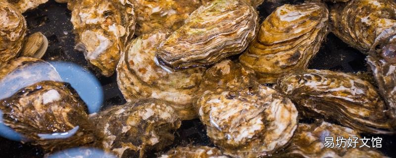 海蛎子蒸几分钟就可以吃了 海蛎子可以天天吃吗
