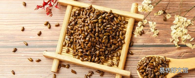 决明子茶晚上喝还是早上 决明子茶喝多了有什么副作用