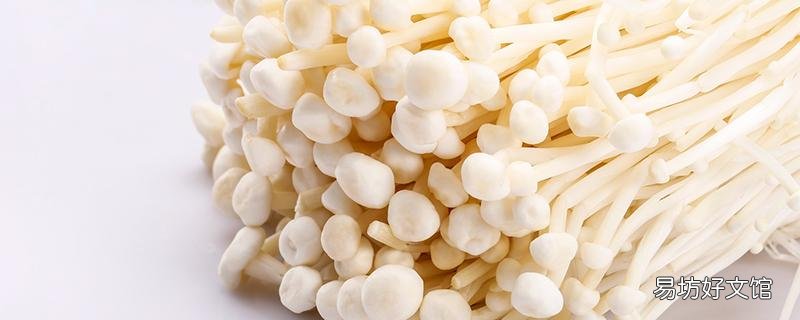 菌類可以天天吃嗎 吃了蘑菇可以喝牛奶嗎