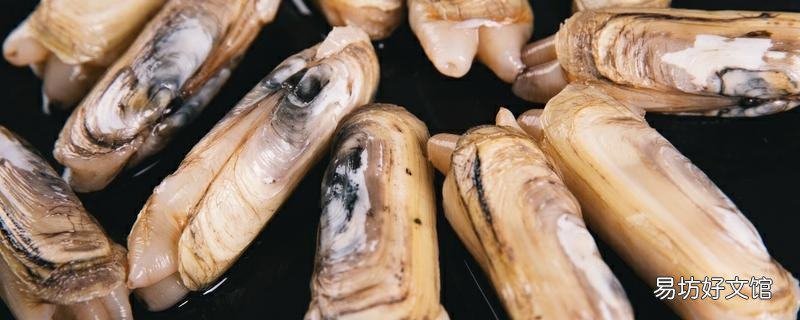蟶子里面有一根透明的是寄生蟲嗎 炒蟶子用焯水嗎