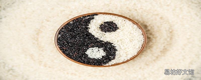 黑米和紫米的区别 黑米和紫米哪个好