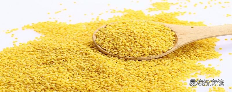 小米煮10分钟能熟吗 小米煮多久好