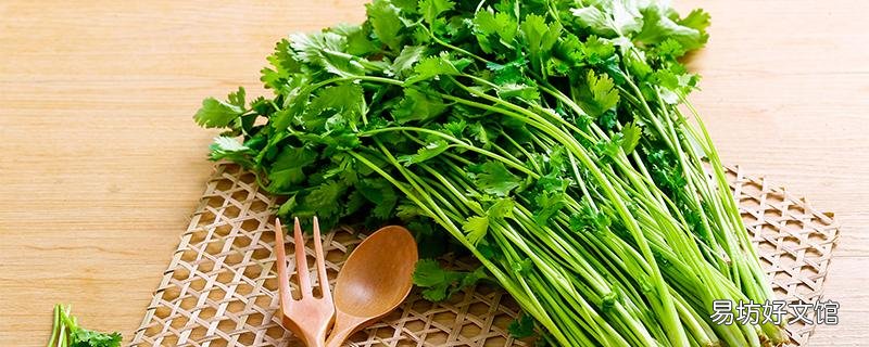 香菜炒蛋可以吃嗎 香菜炒蛋怎么炒