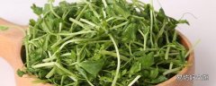 豌豆苗发苦怎么回事 豌豆苗发苦能吃吗