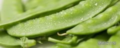 荷兰豆焯水几分钟能熟 荷兰豆焯水后放冰箱第二天可以吃吗