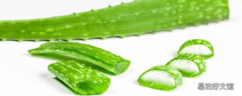 蘆薈可以直接擦臉嗎 蘆薈擦臉上可以過夜嗎