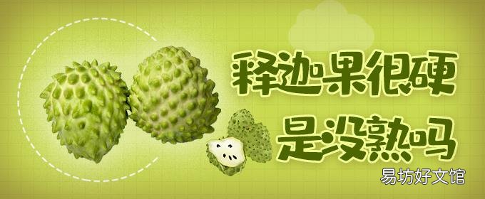 释迦果很硬是没熟吗 没熟的释迦果吃了会怎么样