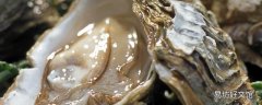 海蛎子蒸几分钟最鲜 海蛎子可以多吃吗