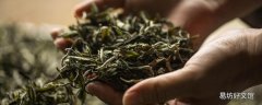 莓茶怎么泡好喝 莓茶是煮好还是泡好