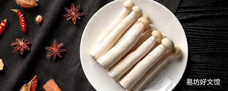 杏鮑菇發霉長白毛還能用嗎 怎么分辨杏鮑菇有沒有變質