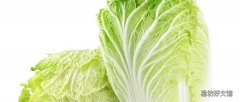 白菜可以放多少天 大白菜放一个月能吃吗