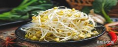 黄豆芽放冰箱里面几天还能吃吗 黄豆芽隔夜发绿了还能吃吗