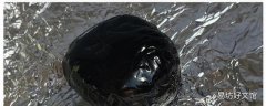 鹿胎丸对女人的功效与作用 鹿胎丸的注意事项