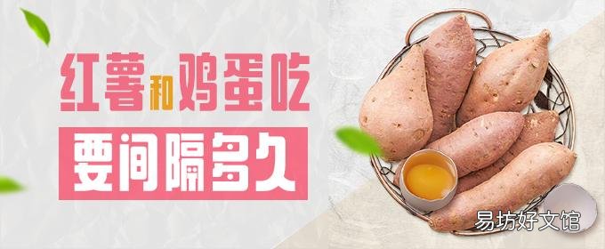 红薯和鸡蛋吃要间隔多久 坚持吃一个月红薯能瘦身吗
