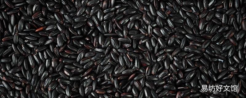 黑米蒸米饭用提前泡吗 黑米蒸饭要泡多久合适